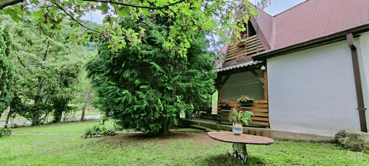Villa Orka Pelister - Forest Zone บิโตลา ภายนอก รูปภาพ